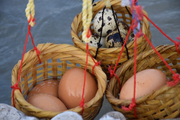 Eggs in different baskets