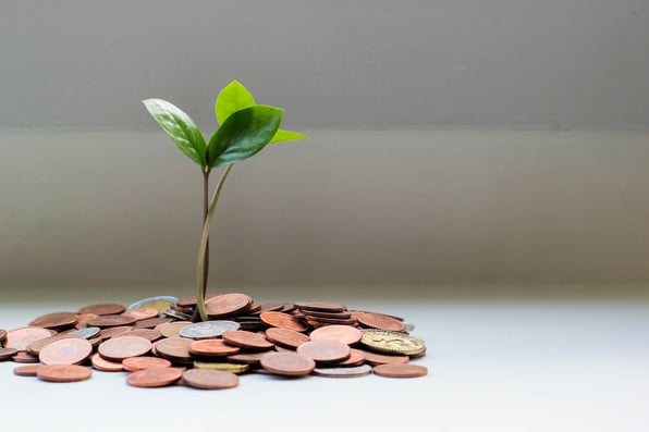 A plant growing from a pile of coins which have come out of a combined pension.