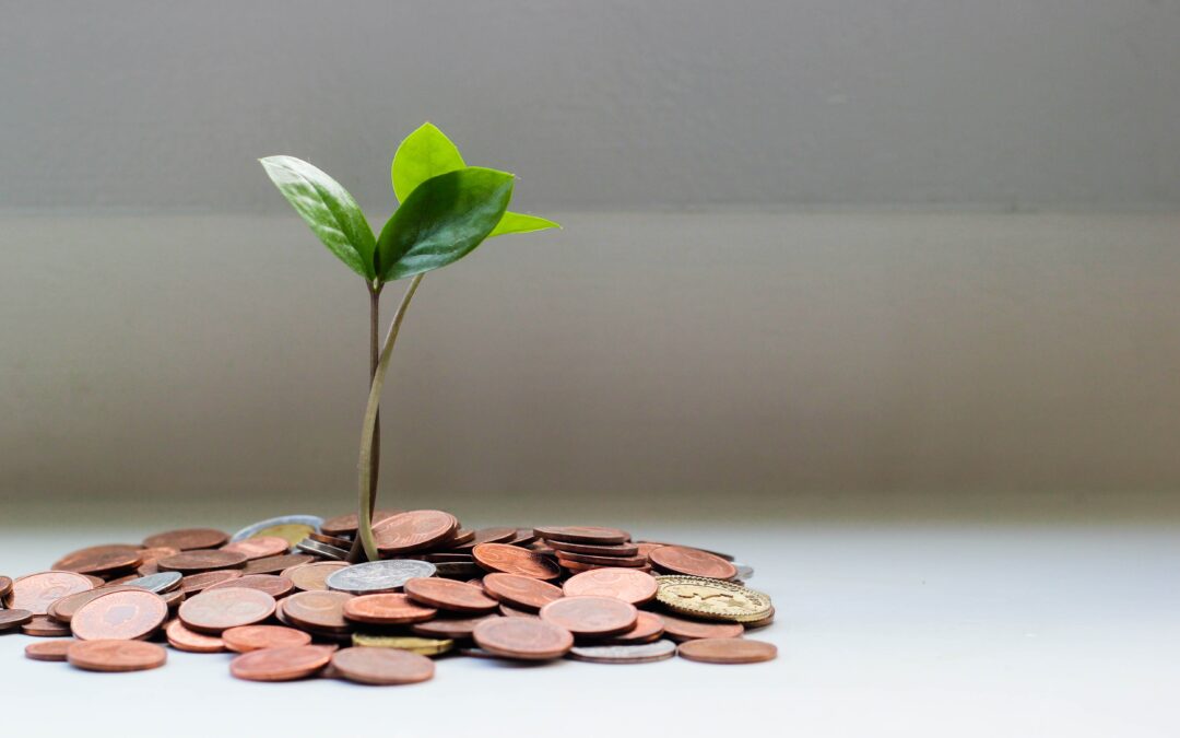 Responsible Investing and ‘Greenwashing’